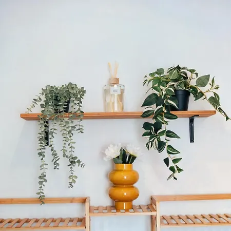Le Petit Coin De Paris Apartment