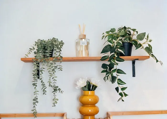 Le Petit Coin De Paris Appartement